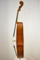 Violoncello 